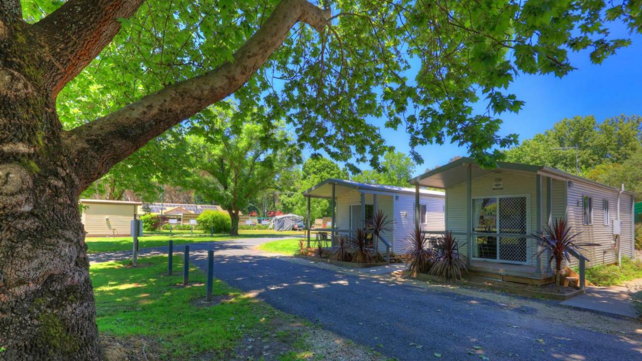 Myrtleford Holiday Park Buitenkant foto